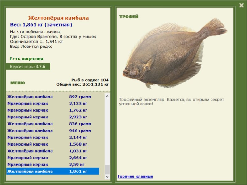 Желтопёрая камбала 