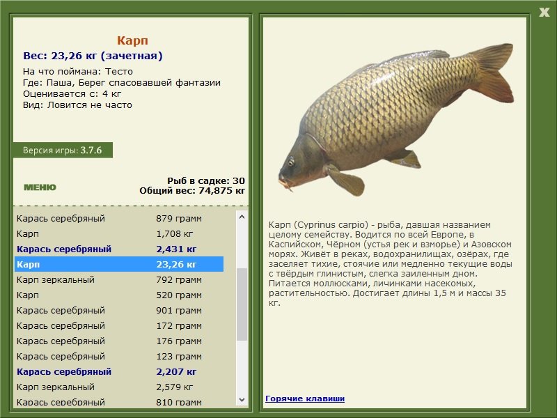 РУССКАЯ РЫБАЛКА Installsoft Edition 