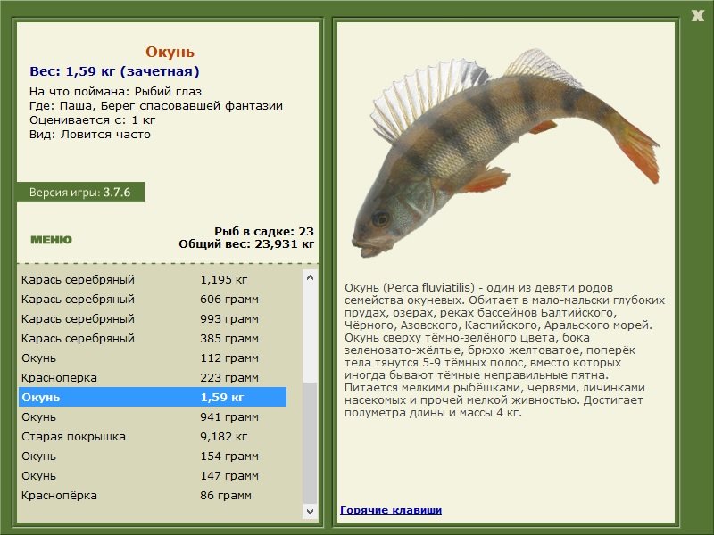 РУССКАЯ РЫБАЛКА Installsoft Edition 