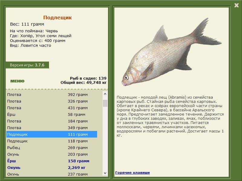 турниры • РУССКАЯ РЫБАЛКА