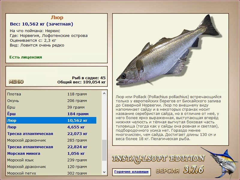 Норвегия 