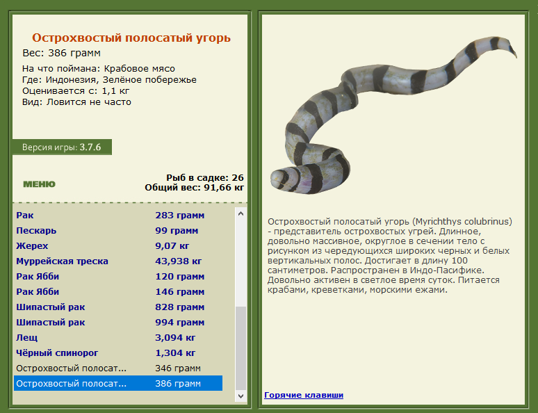 РУССКАЯ РЫБАЛКА Installsoft Edition 