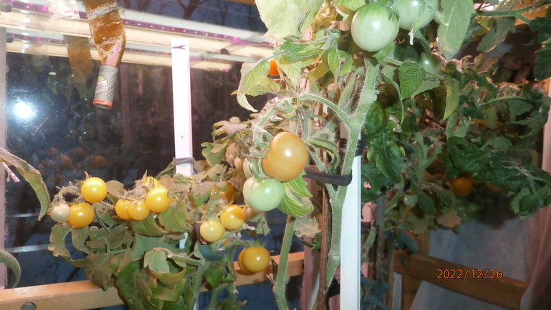 RT22.RU Радиотехника 20 века, форумы 