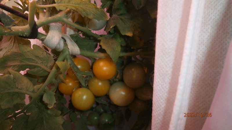 RT22.RU Радиотехника 20 века, форумы 