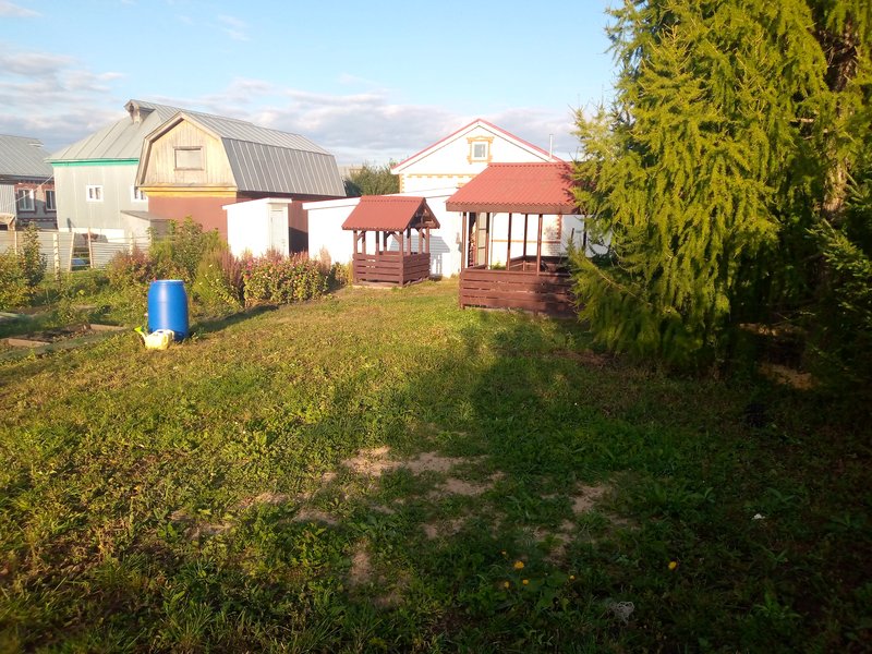  Про помидоры .