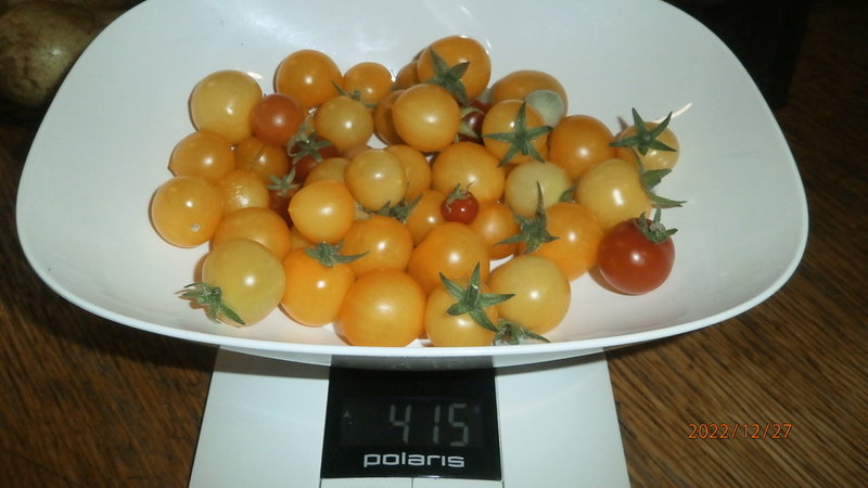 RT22.RU Радиотехника 20 века, форумы 