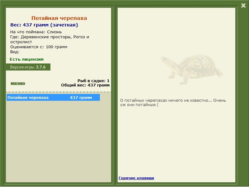 Потайная черепаха 