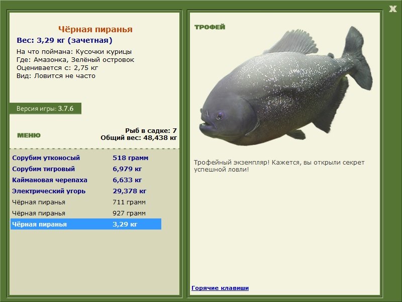 Затопленный лес 