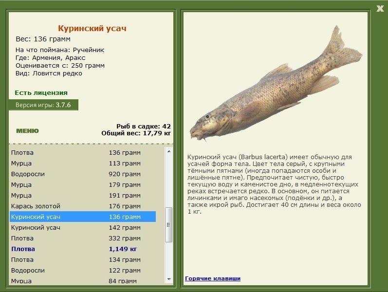 турниры • РУССКАЯ РЫБАЛКА