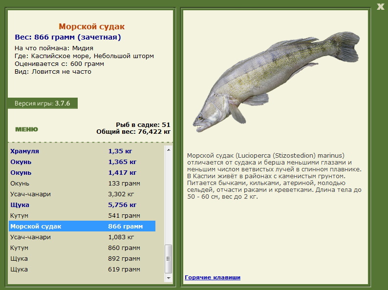 Каспийское море 