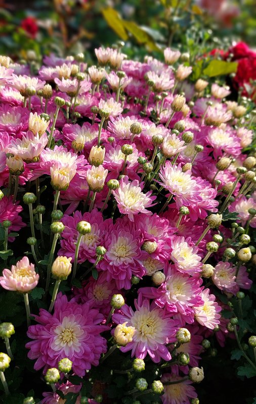 ЕТК. Тема для обсуждения.