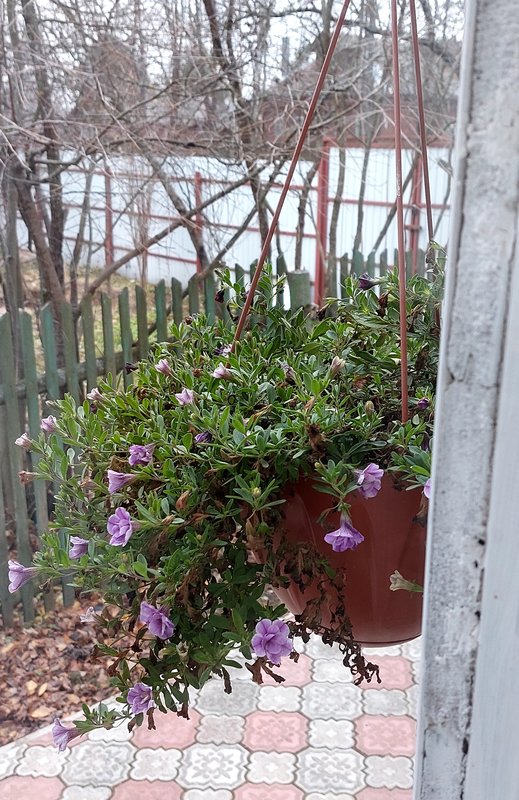 ЕТК. Тема для обсуждения.