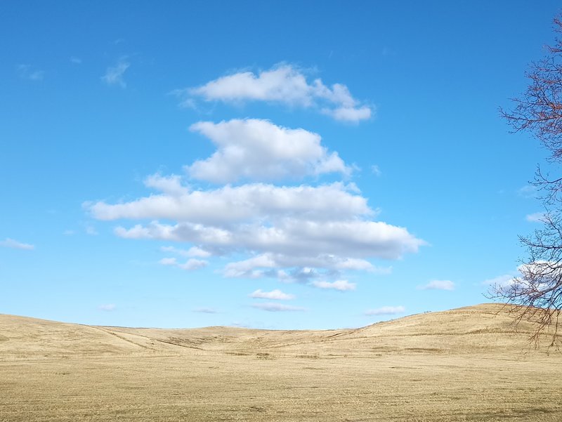  Страница 115 - Форум 