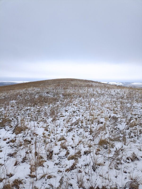  Страница 115 - Форум 