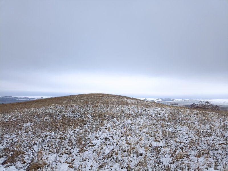  Страница 115 - Форум 