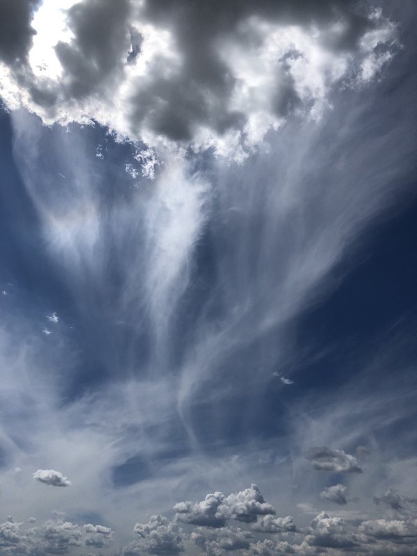  Страница 115 - Форум 