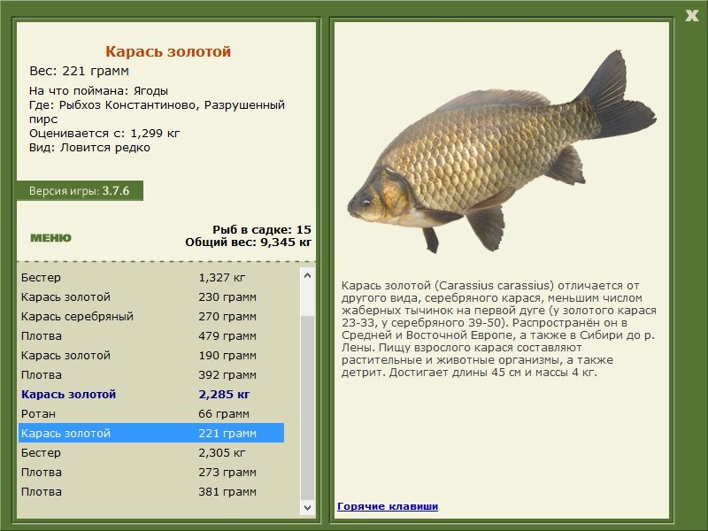 турниры • РУССКАЯ РЫБАЛКА