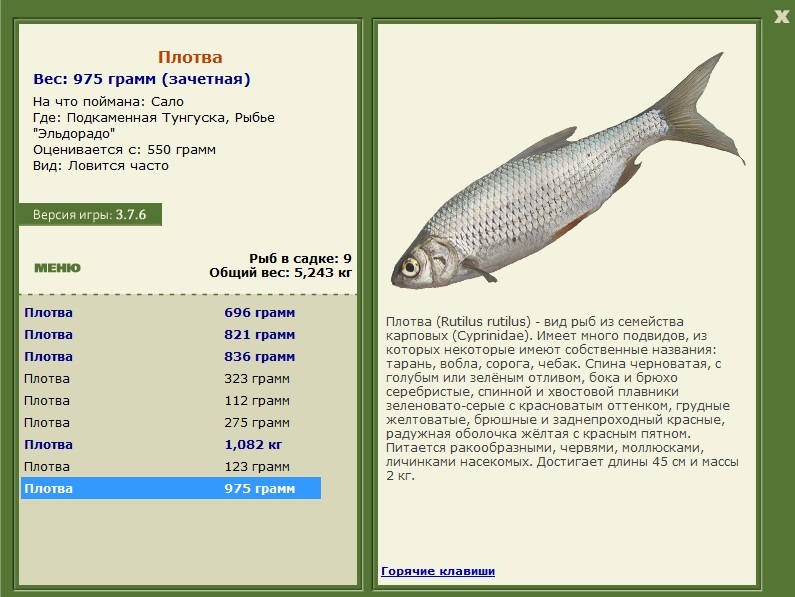 Рыбье 