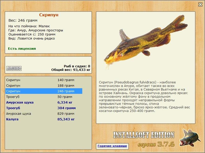 Амур 