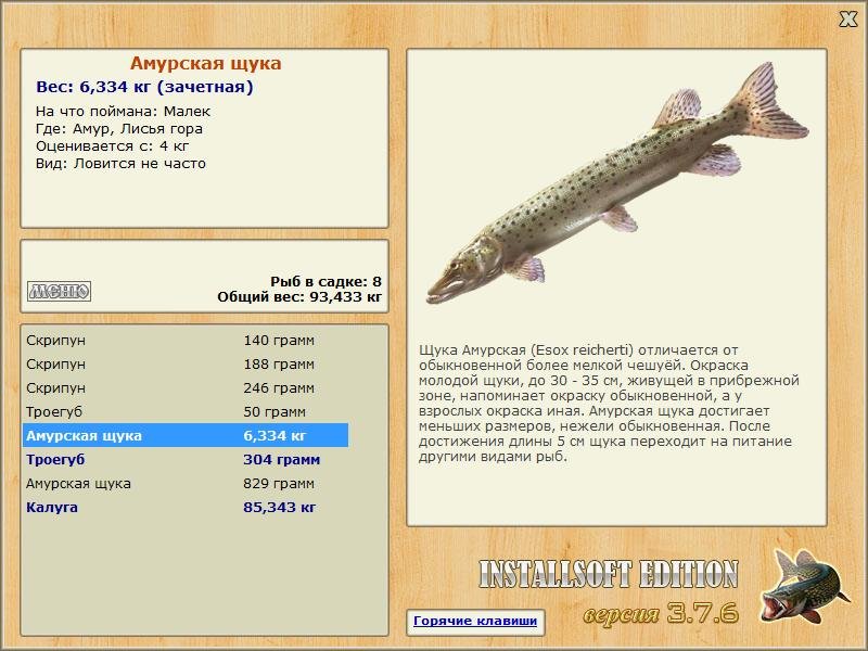 Амур 