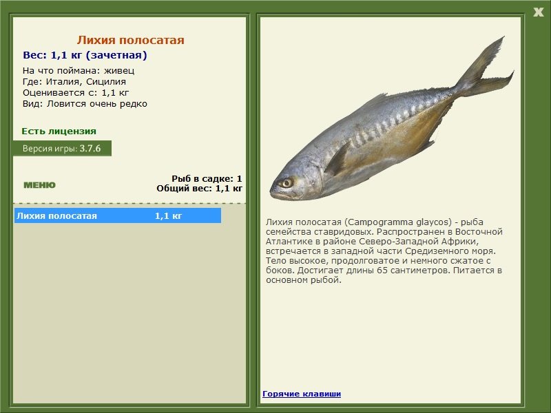 РУССКАЯ РЫБАЛКА Installsoft Edition 