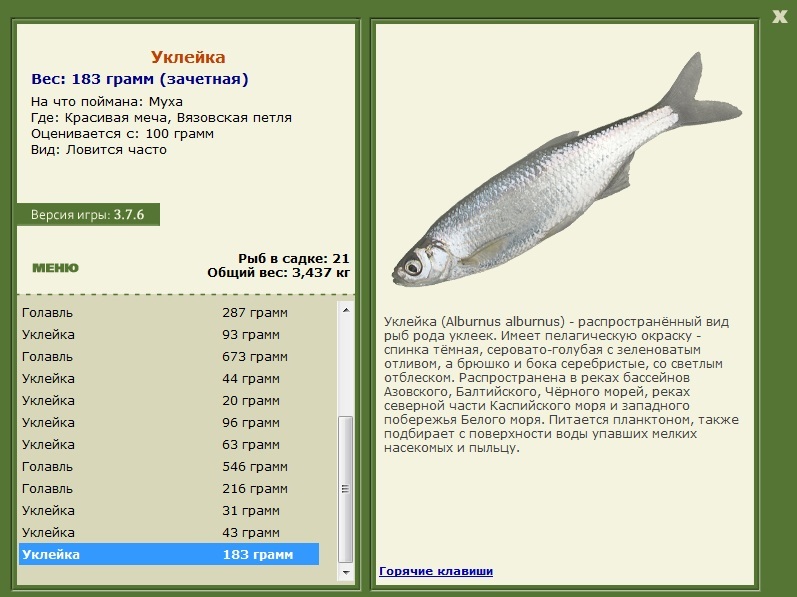 Вязовская петля 