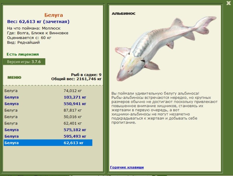 Белуга 