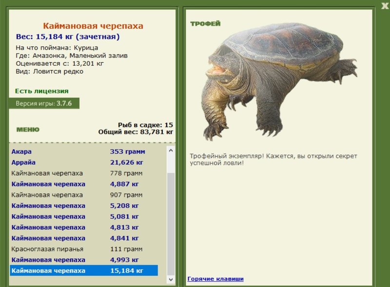 Каймановая черепаха 