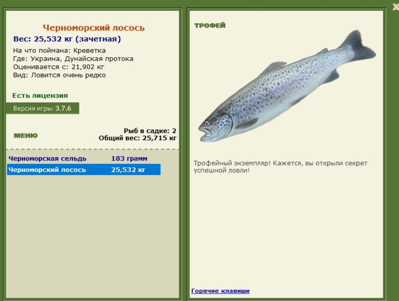 Черноморский лосось 