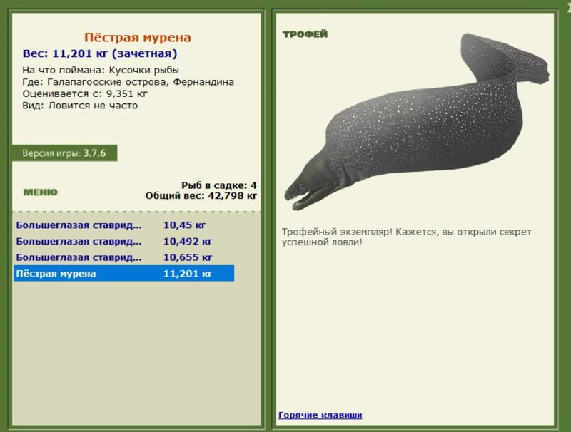 Пёстрая мурена 