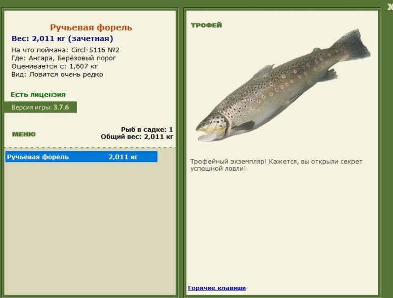 Ручьевая форель 