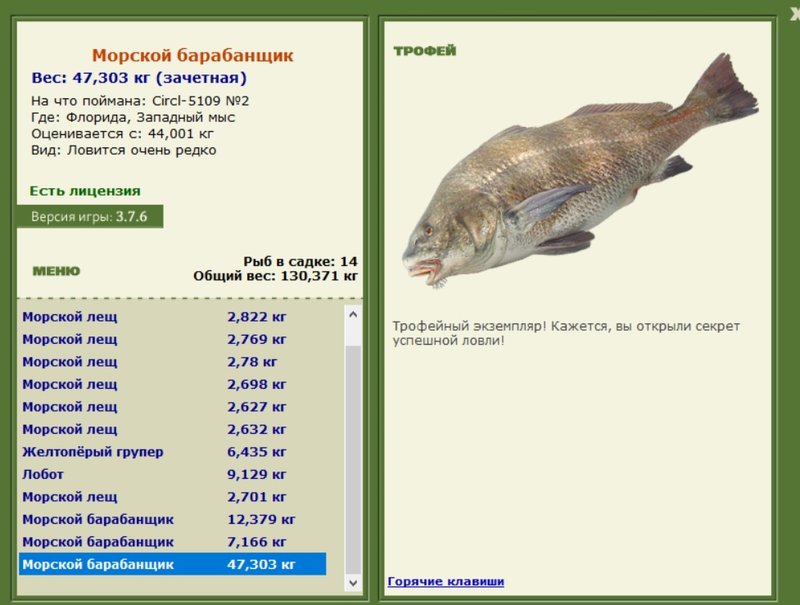 Морской барабанщик 