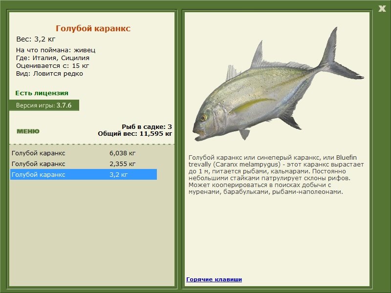 РУССКАЯ РЫБАЛКА Installsoft Edition 