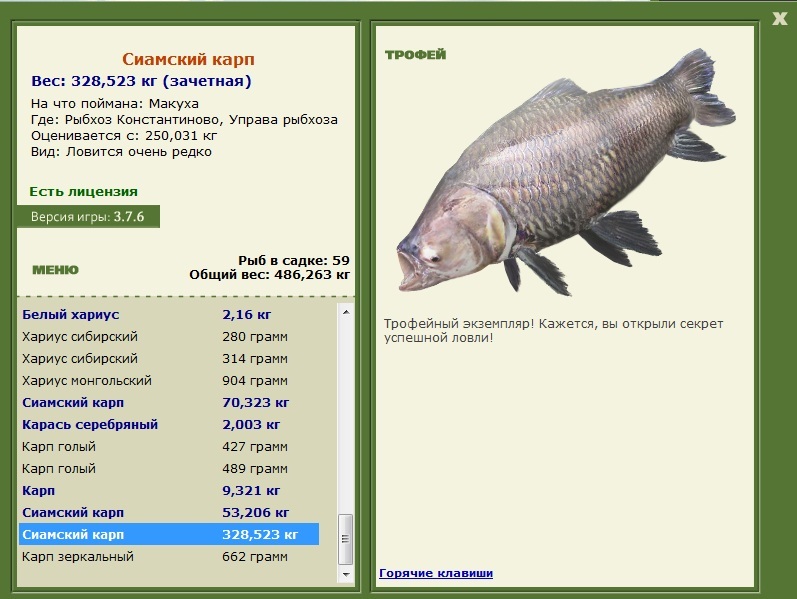 Сиамский карп 