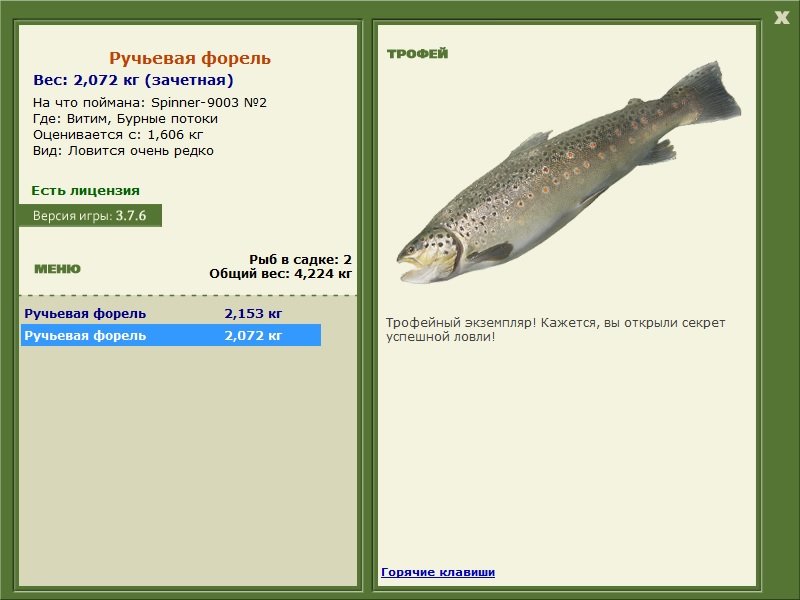 Бурные потоки 