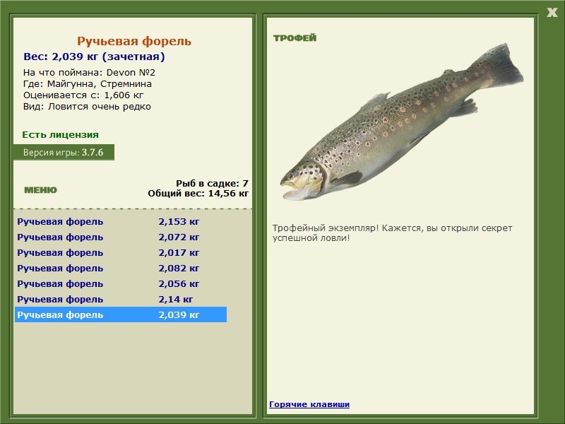 Стремнина 