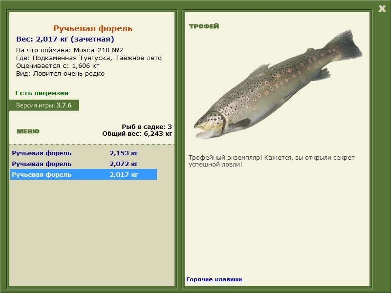 Таёжное лето 