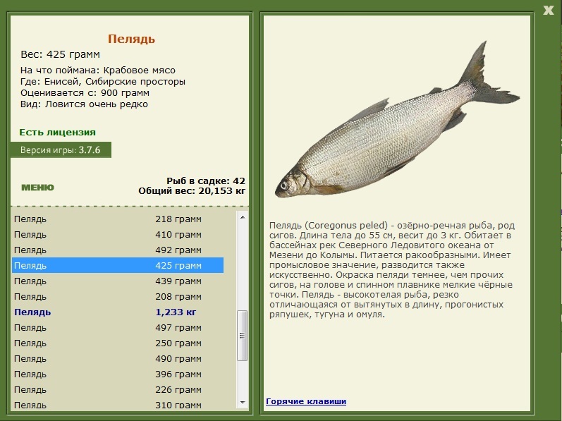 турниры • РУССКАЯ РЫБАЛКА