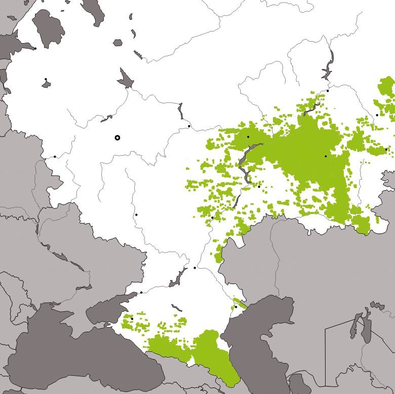 Карта ислама в россии