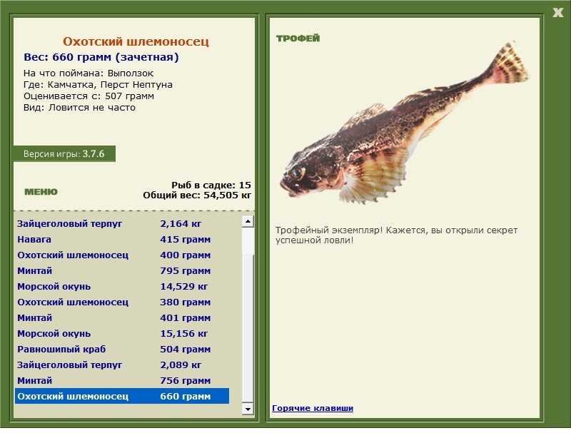 Охотский шлемоносец 