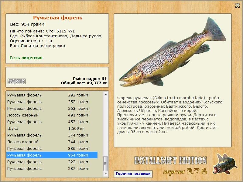 Дальнее русло 