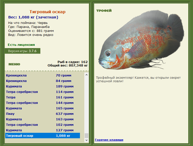 Тигровый оскар 