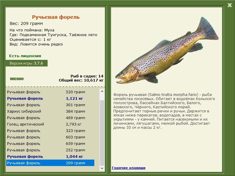 Таёжное лето 