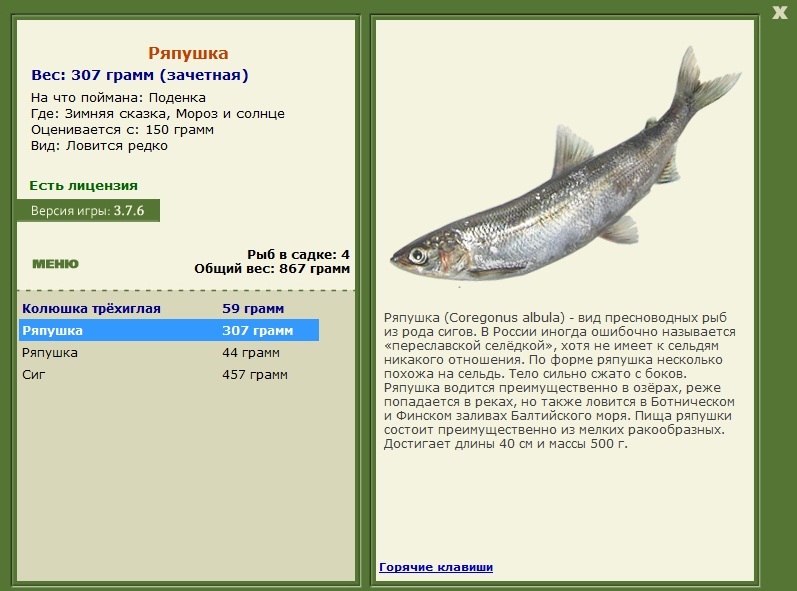 Мороз и солнце 
