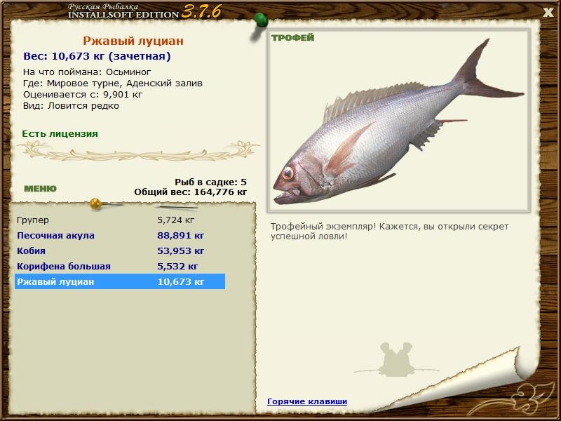 Ржавый луциан 