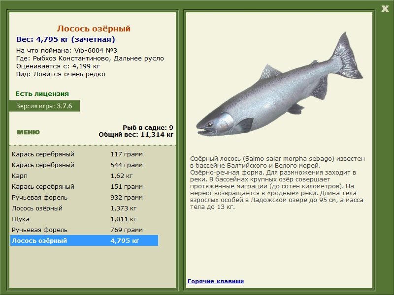 турниры • РУССКАЯ РЫБАЛКА