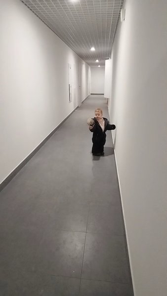  Ответить