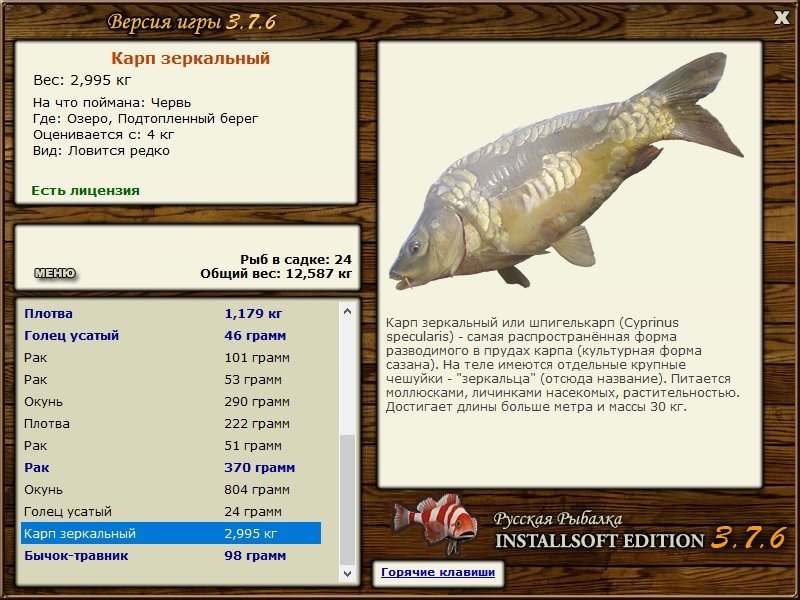 турниры • РУССКАЯ РЫБАЛКА