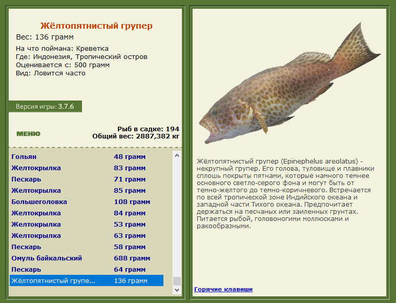 РУССКАЯ РЫБАЛКА Installsoft Edition 