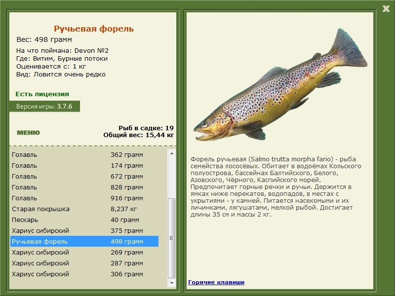 турниры • РУССКАЯ РЫБАЛКА